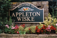 Appleton-Wiske